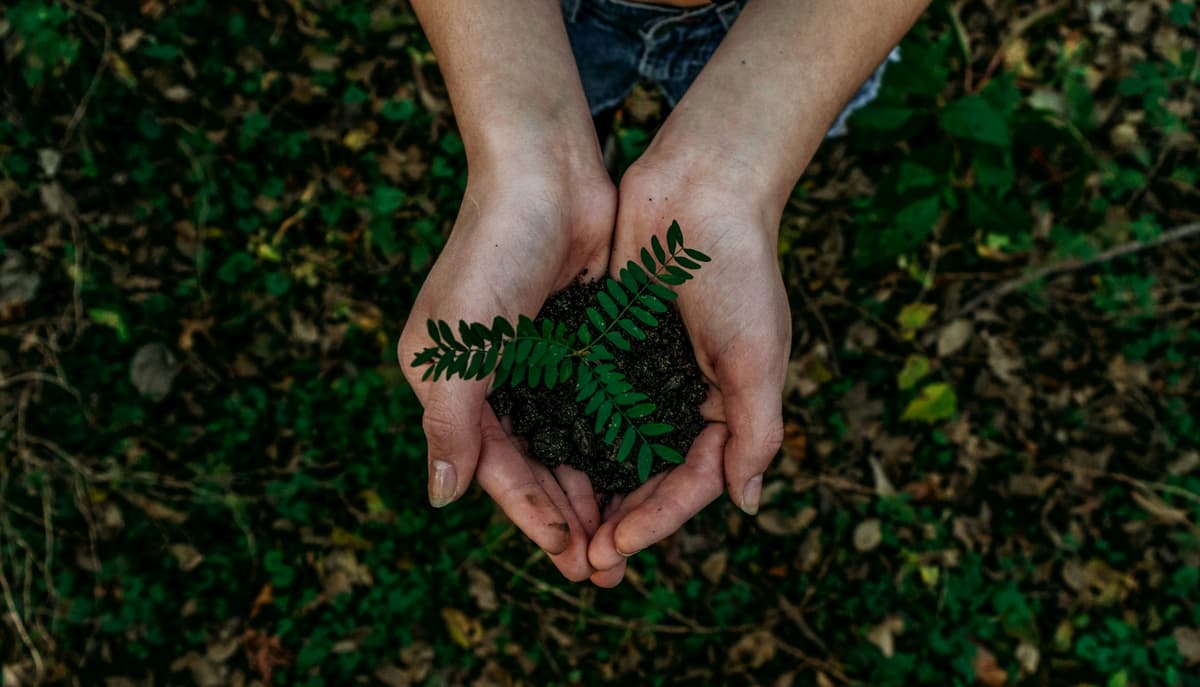 Sustentabilidade, adaptação climática e valor econômico das florestas:
a consolidação de uma agenda estrutural no agronegócio