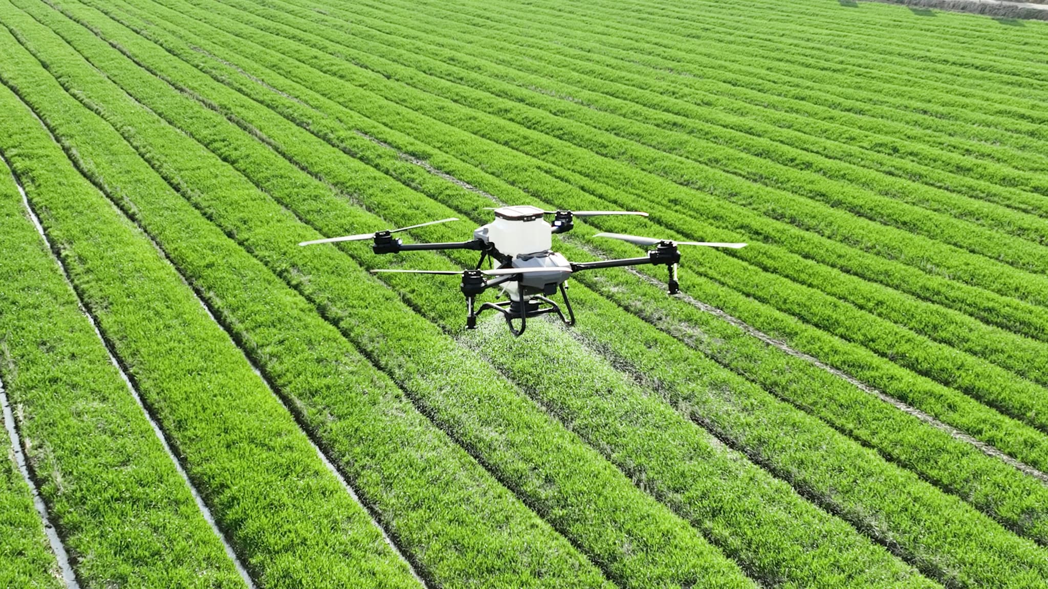 Tecnologia, bioenergia e eficiência colocam inovação no centro do agro brasileiro em 2026