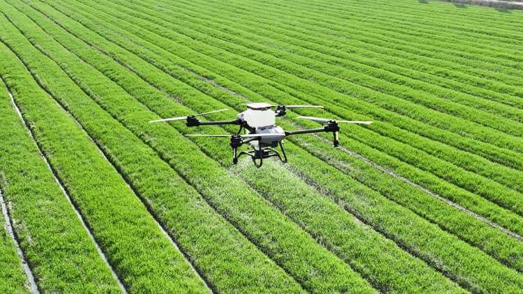 Agro acelera inovação e sustentabilidade em 2026